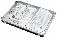 Hard Drive, 40 GB, 2.5, 4200